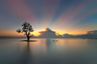 70幅光影詩篇 自然與風光攝影的視覺盛宴